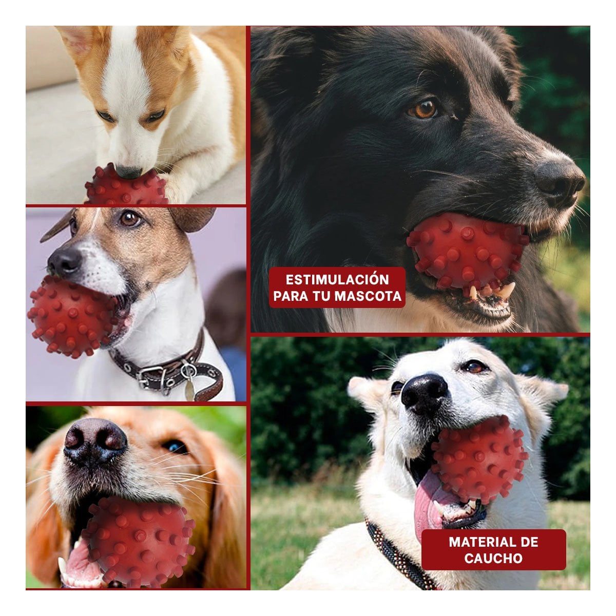 PACK2 DISPOSITIVO CANINO ROJO DE CAUCHO CON DISENO DIVERTIDO Y+PAPEL REGALO - 3