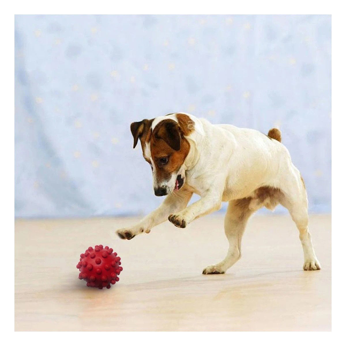 PACK2 DISPOSITIVO CANINO ROJO DE CAUCHO CON DISENO DIVERTIDO Y+PAPEL REGALO - 5