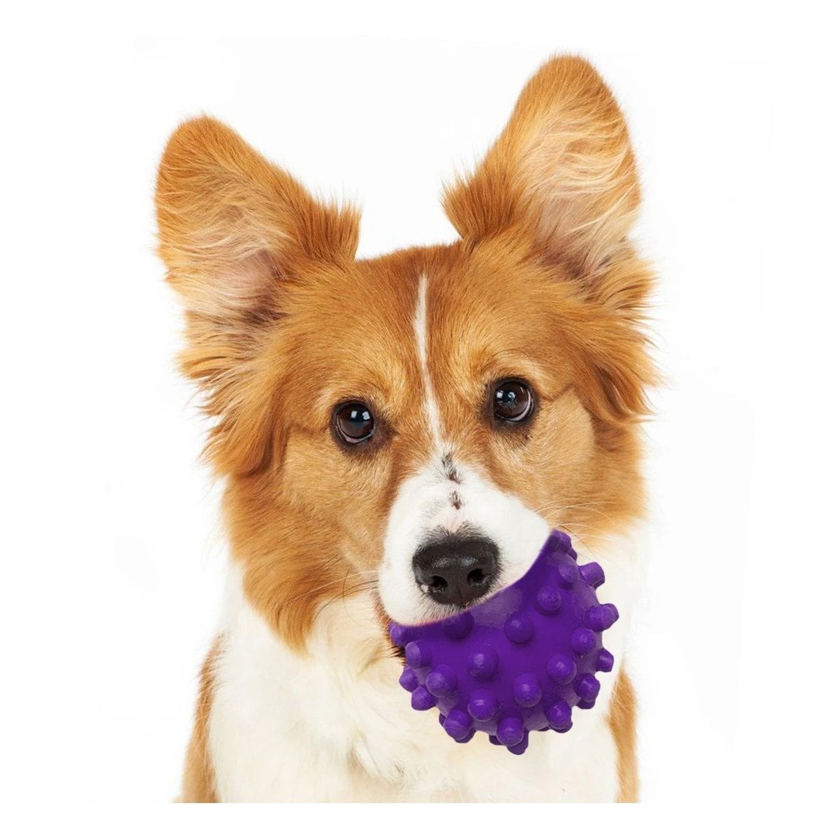 PACK4 FIGURA DE CAUCHO MORADO GRANDE PARA JUEGOS ACTIVOS Y DINAMICOS Y+PAPEL REGALO - 3