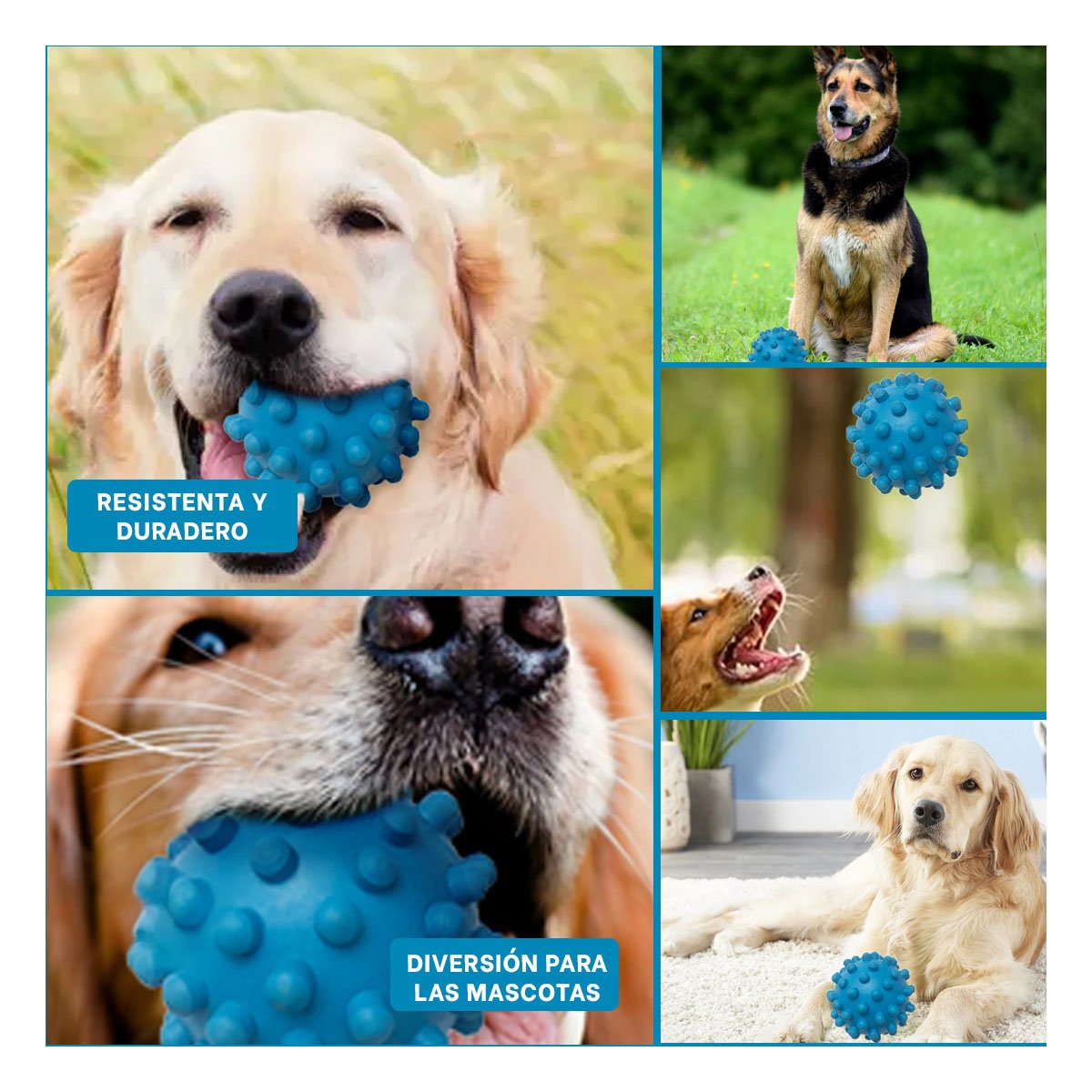 PACK4 FIGURA INTERACTIVA CAUCHO CELESTE PARA MANTENER ACTIVA A TU MASCOTA Y+REGALO STICKER - 2