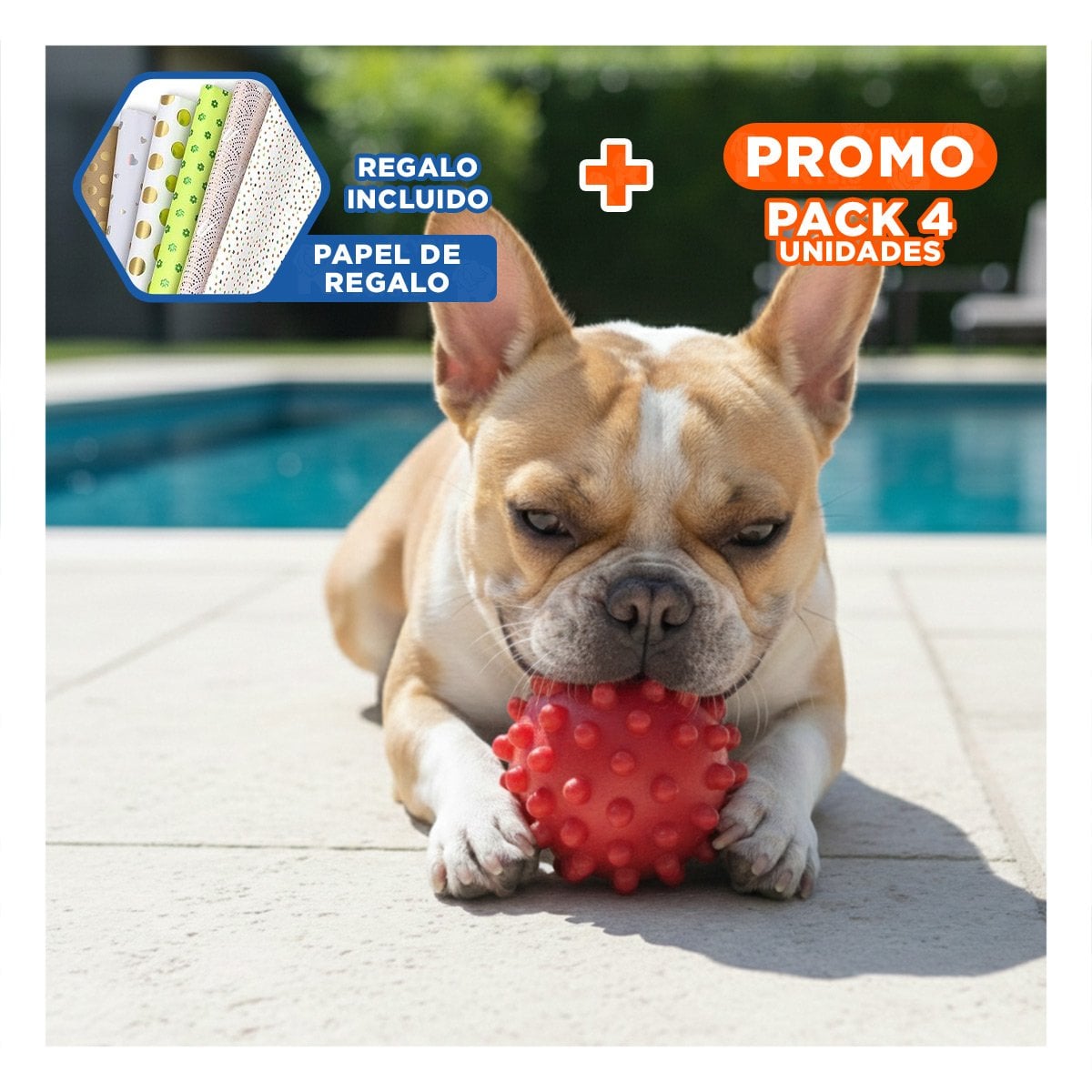 PACK4 PELOTA TIPO CHIRIMOLLA ROJA PARA ACTIVIDADES DE MASCOTAS Y+PAPEL REGALO - 1