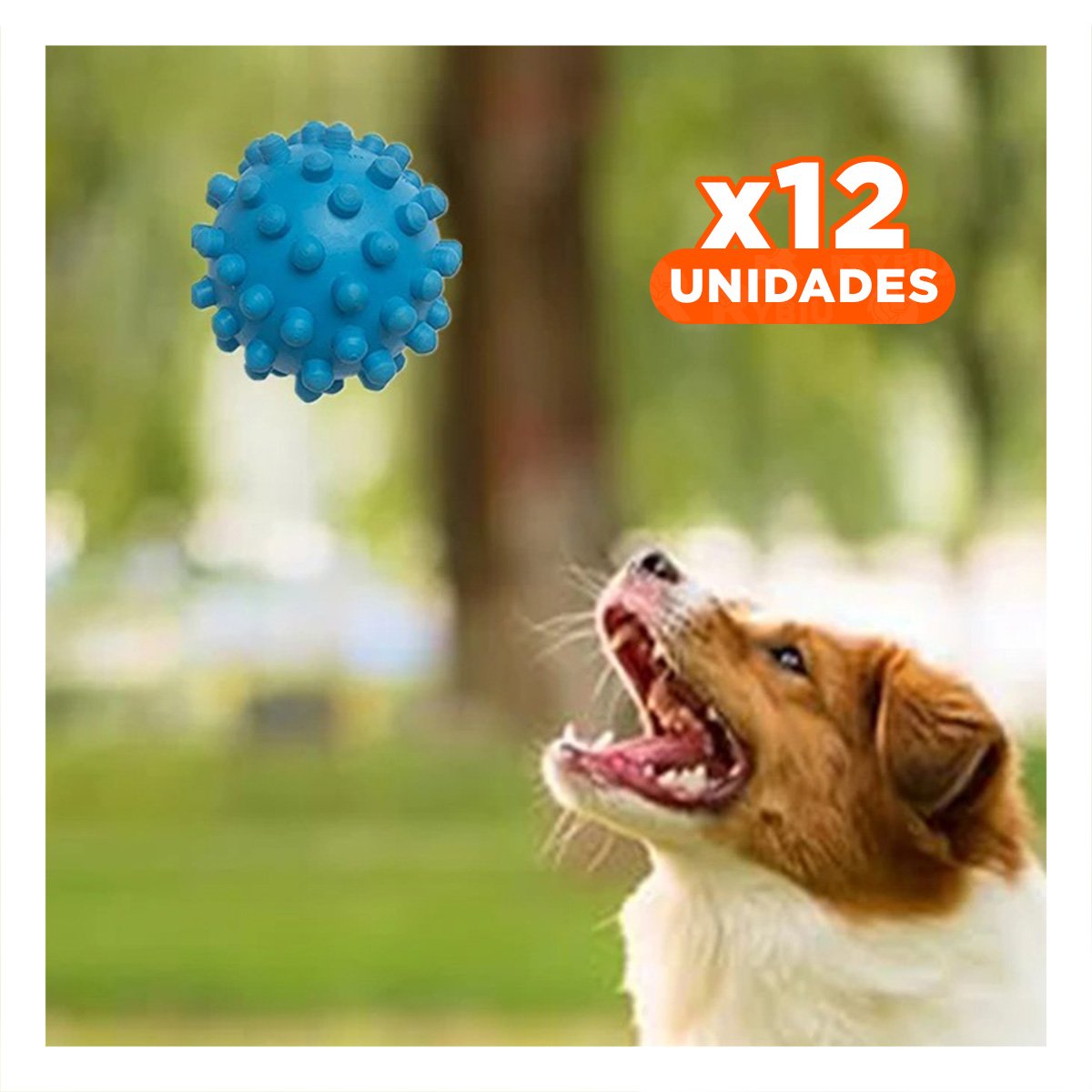 PACK12 PELOTA TEXTURIZADA CELESTE ESTILO CHIRIMOLLA PARA ESTIMULACION SENSORIAL - 1