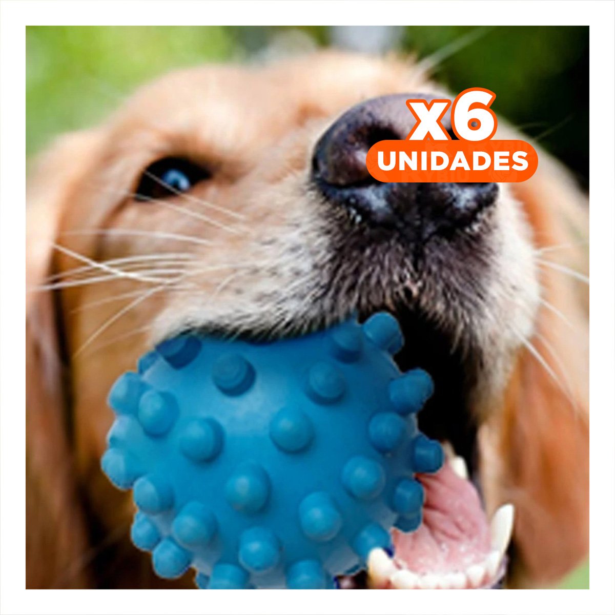 PACK6 ACCESORIO DE ENTRETENIMIENTO CANINO CAUCHO CELESTE CON MATERIAL FLEXIBLE Y+REGALO STICKER - 1