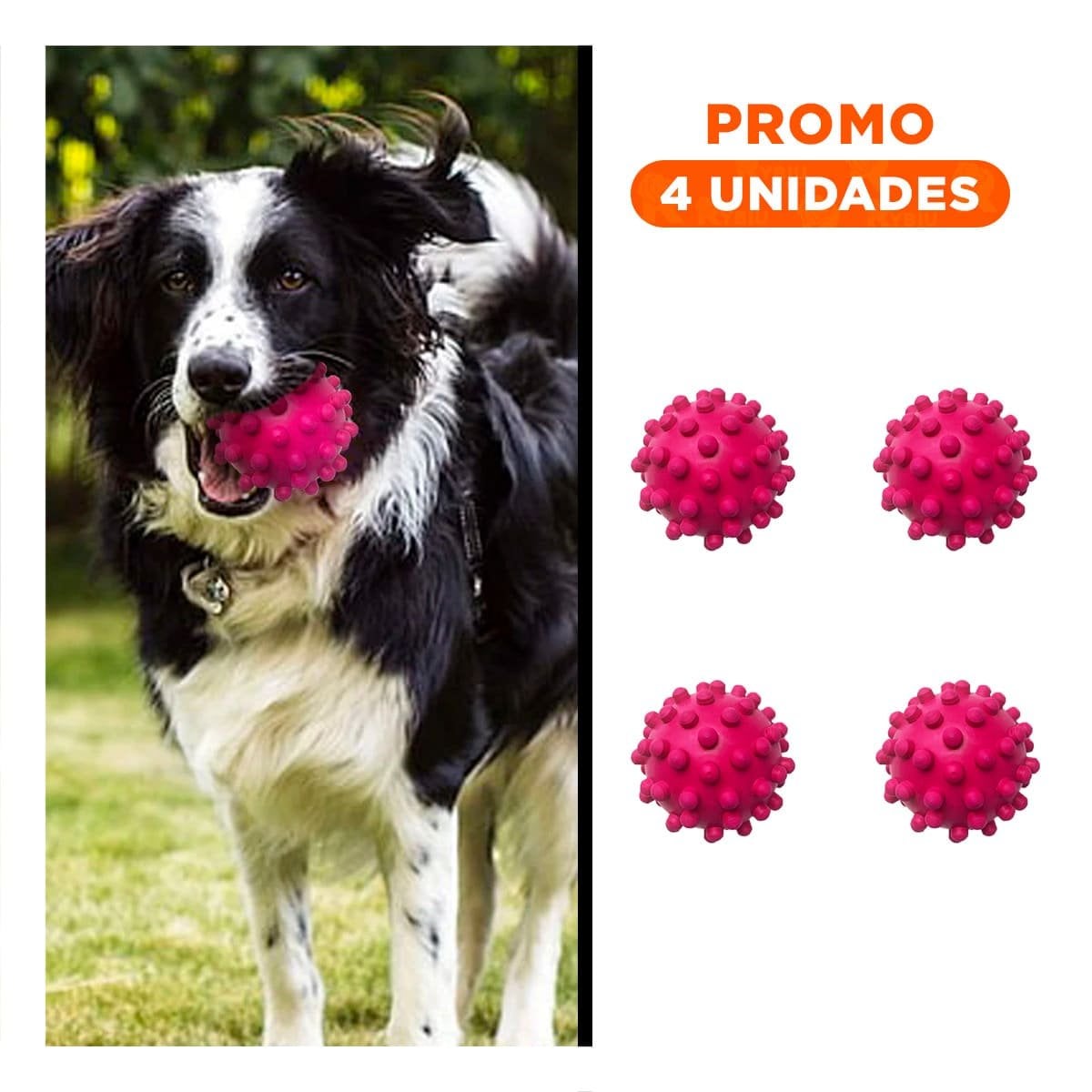 PACK4 ACCESORIO PARA MASCOTA CAUCHO CHIRIMOLLA ROSA RESISTENTE AL USO Y+REGALO STICKER - 1
