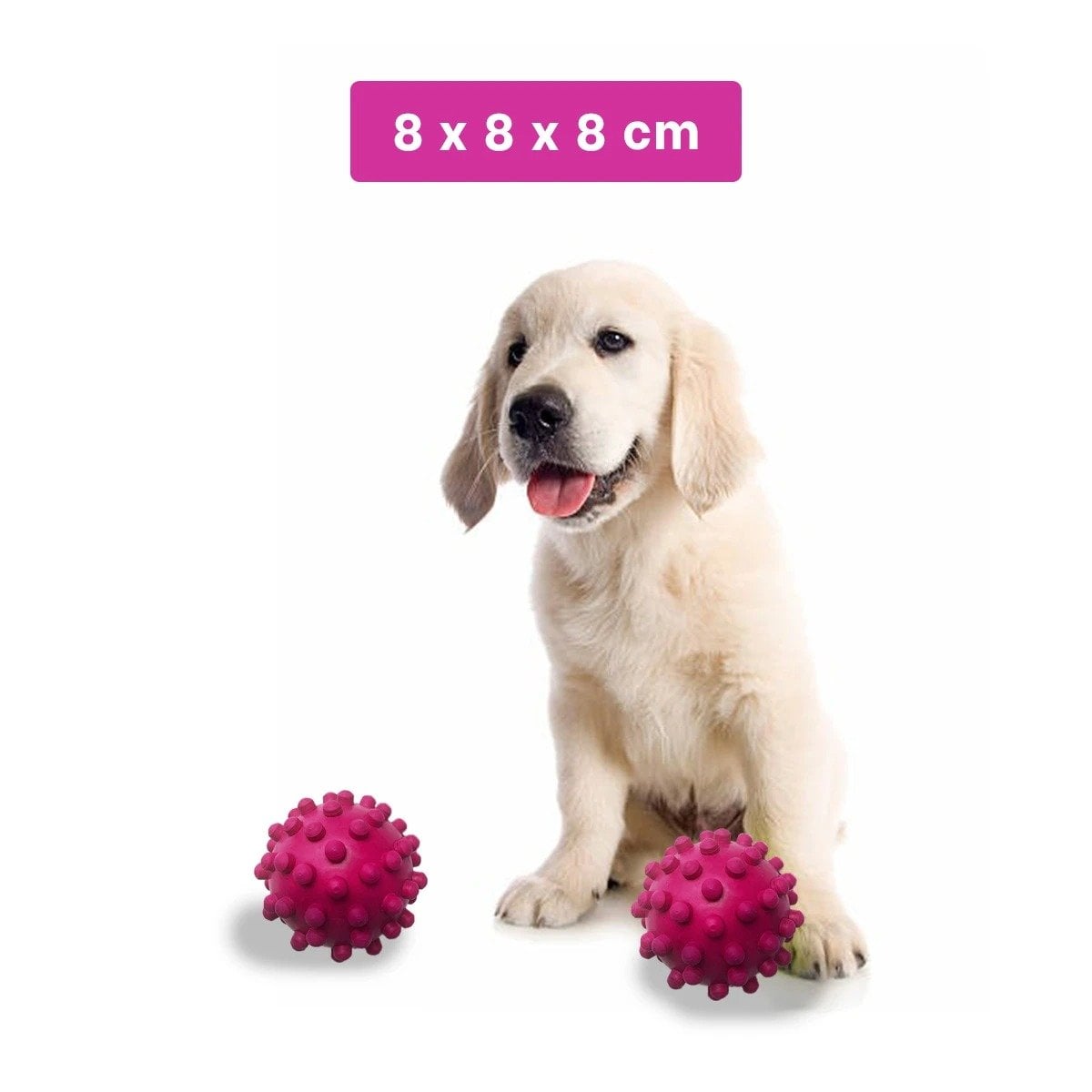PACK4 ACCESORIO PARA MASCOTA CAUCHO CHIRIMOLLA ROSA RESISTENTE AL USO Y+REGALO STICKER - 4