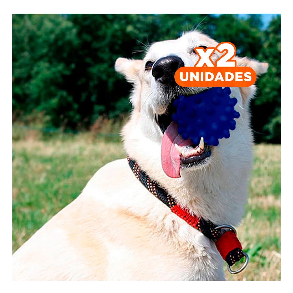 PACK2 PELOTA GRANDE DE CAUCHO AZUL CHIRIMOLLA CON TEXTURA PARA INTERACCION Y+REGALO STICKER - 1