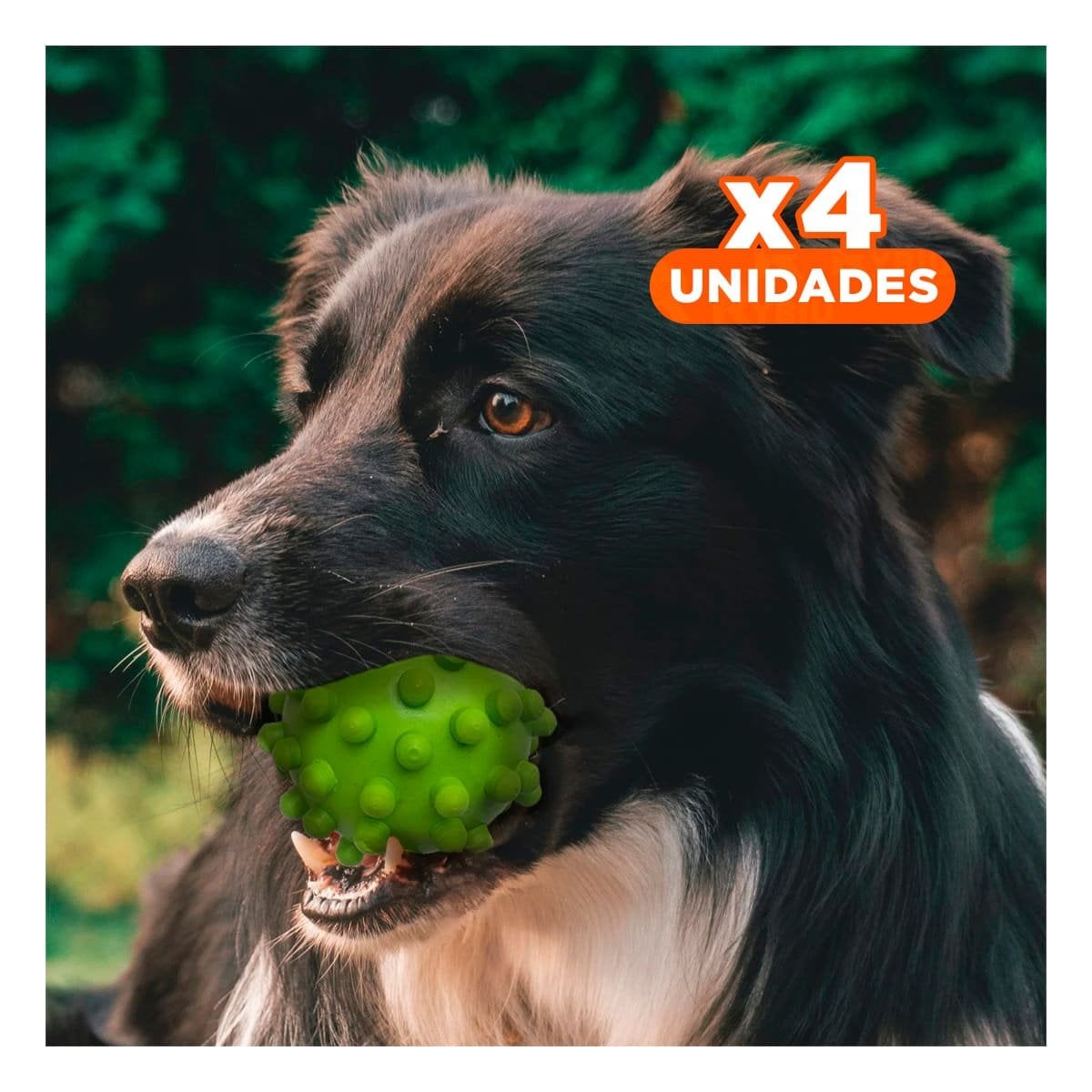 PACK4 JUGUETE COMPACTO DE CAUCHO VERDE PARA PERROS PEQUENOS Y MEDIANOS - 1