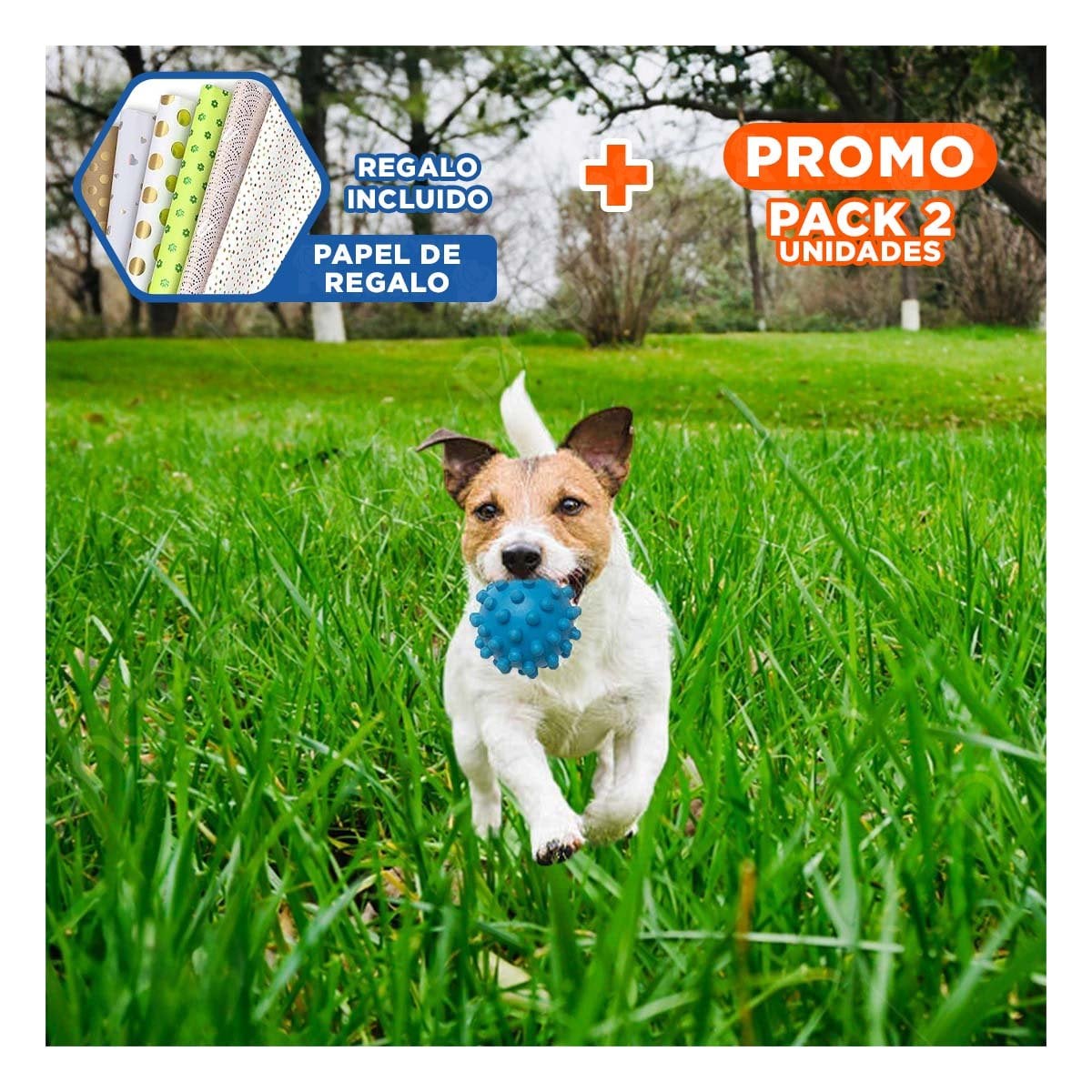 PACK2 JUGUETE FLEXIBLE DE CAUCHO CELESTE CHIRIMOLLA GRANDE PARA ACTIVIDAD Y+PAPEL REGALO - 1