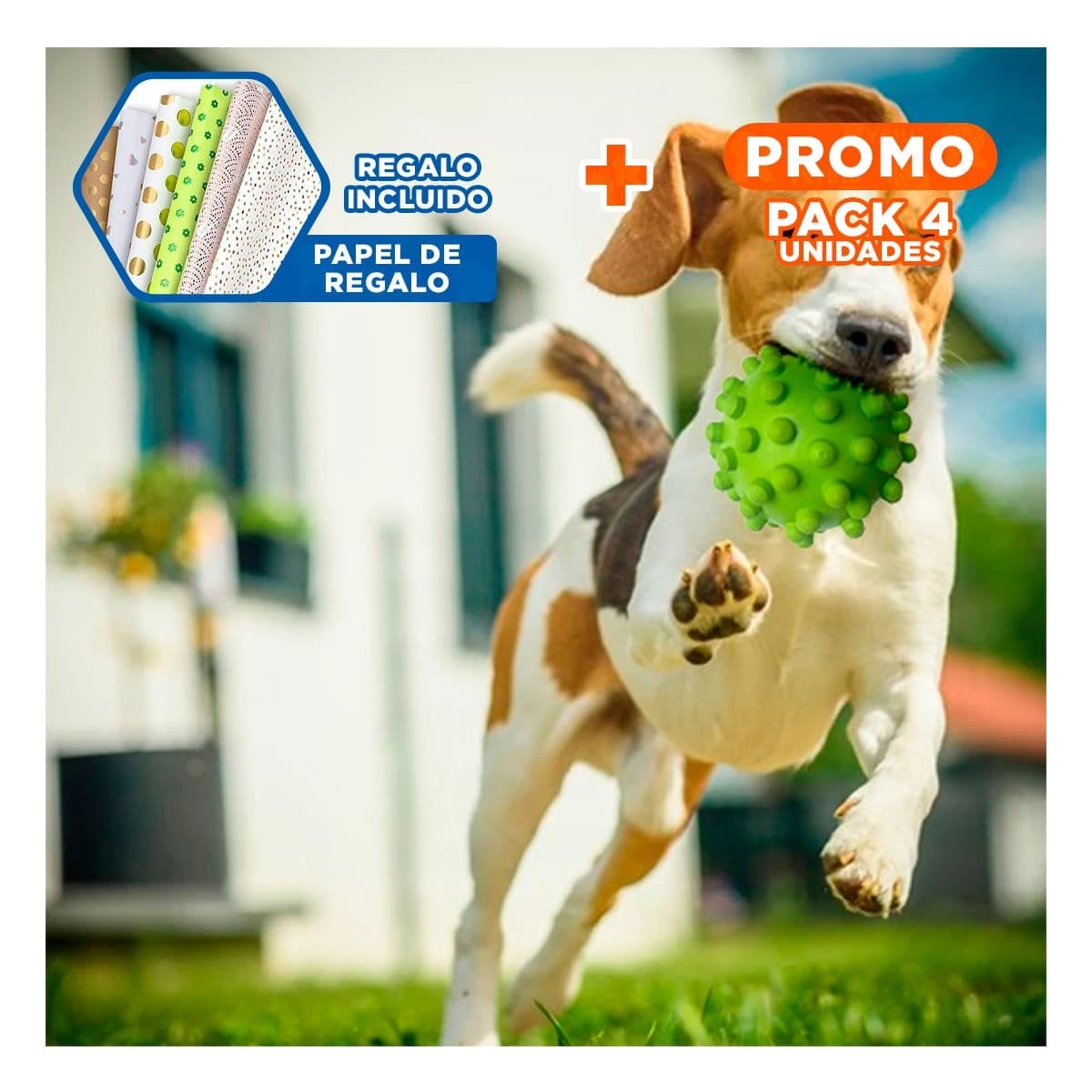 PACK4 ACCESORIO PARA ACTIVIDAD MASCOTA CAUCHO CHIRIMOLLA VERDE RESISTENTE AL USO Y+PAPEL REGALO - 1