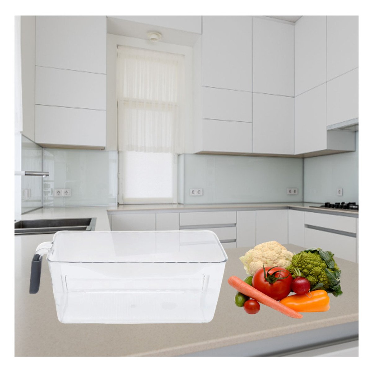 PACK12 MODULO TRANSPARENTE RECTANGULAR CON ASA PARA REFRIGERADOR PLOMO Y+PAPEL REGALO - 3