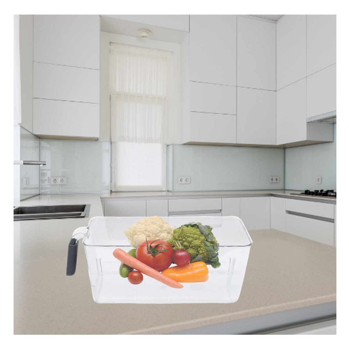 PACK12 MODULO TRANSPARENTE RECTANGULAR CON ASA PARA REFRIGERADOR PLOMO Y+PAPEL REGALO - 5