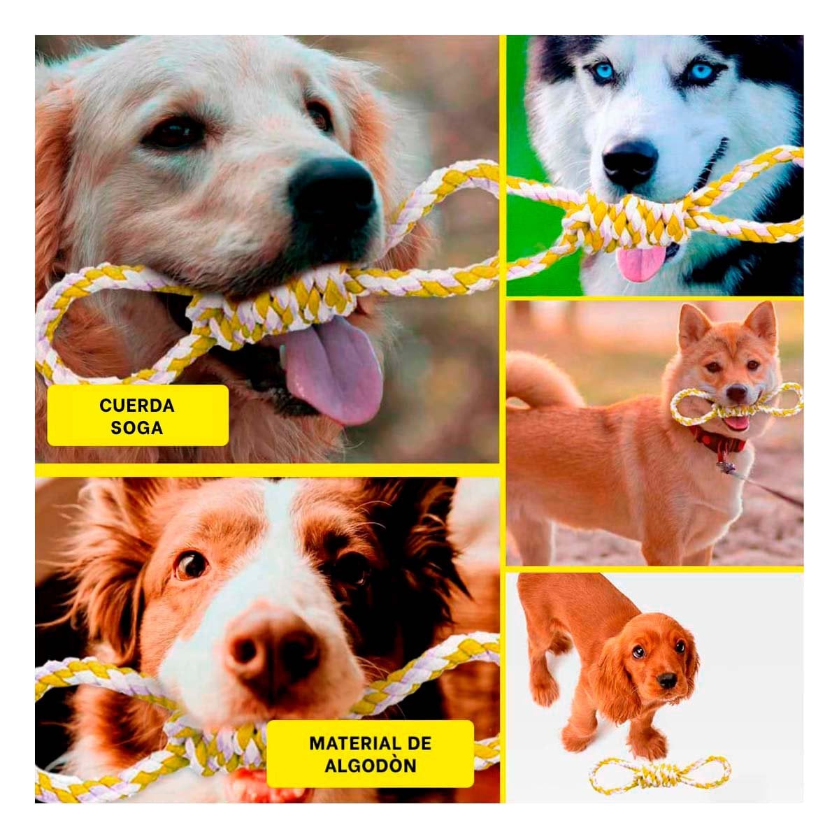 PACK4 ACCESORIO DE MORDIDA CON 4 NUDOS AMARILLO PARA LA TRANQUILIDAD Y+REGALO STICKER - 2