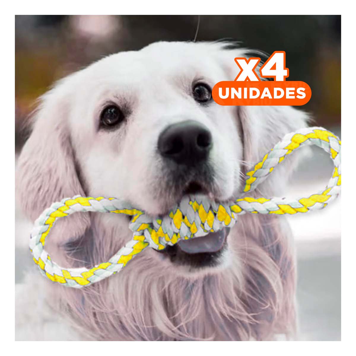 PACK4 JUGUETE DE SOGA DE 4 NUDOS AMARILLO PARA LA ALEGRIA DE SUS HIJOS - 1