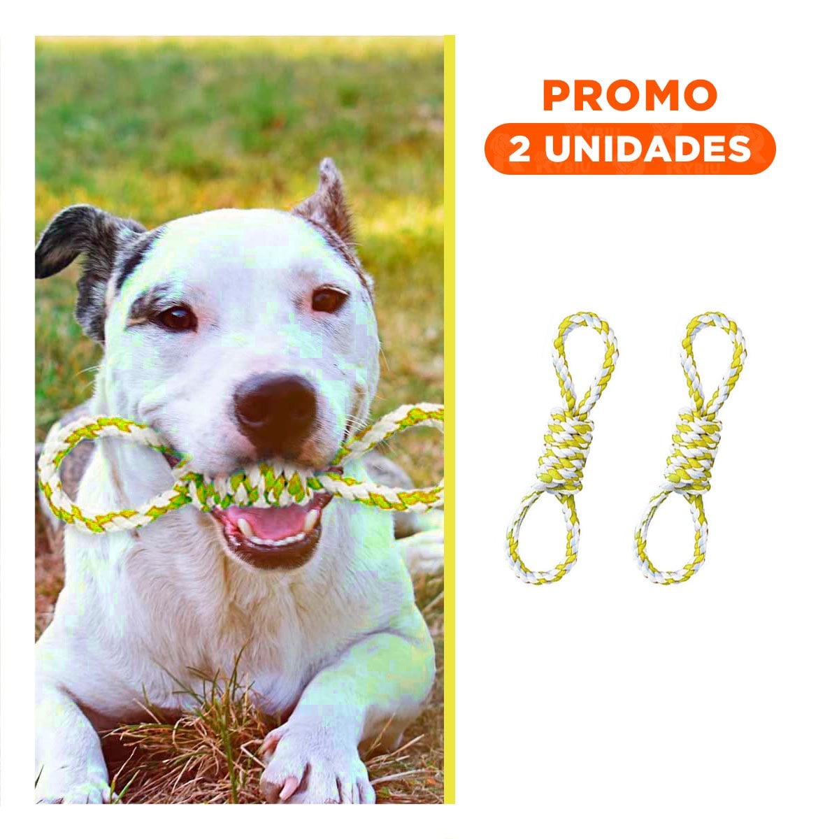 PACK2 ACCESORIO DE MORDIDA CON 4 NUDOS CON TONO AMARILLO DE GRAN BRILLO - 1