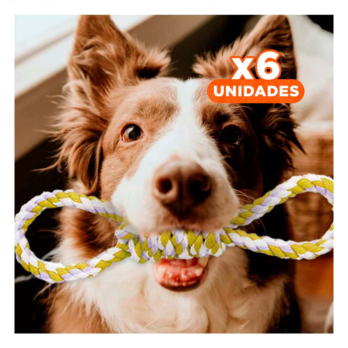 PACK6 JUGUETE DE SOGA DE 4 NUDOS AMARILLO PARA DISFRUTAR DE SU TARDE Y+REGALO STICKER - 1