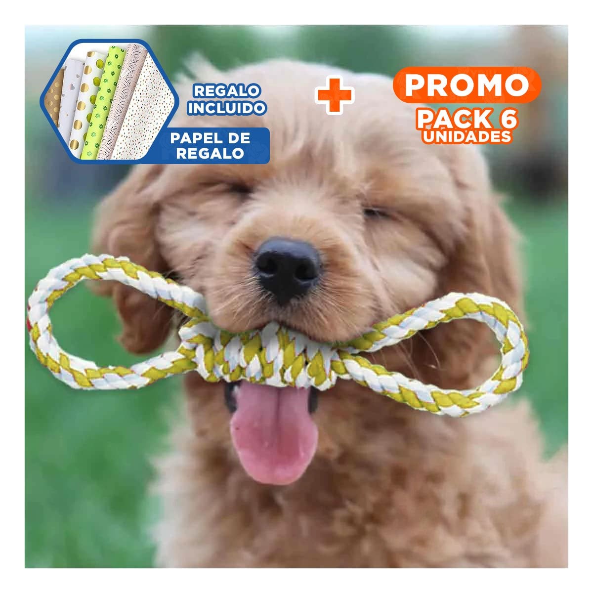 PACK6 CUERDA SOGA 4 NUDOS PET AMARILLO DE CONSISTENCIA MUY SUAVE Y+PAPEL REGALO - 1