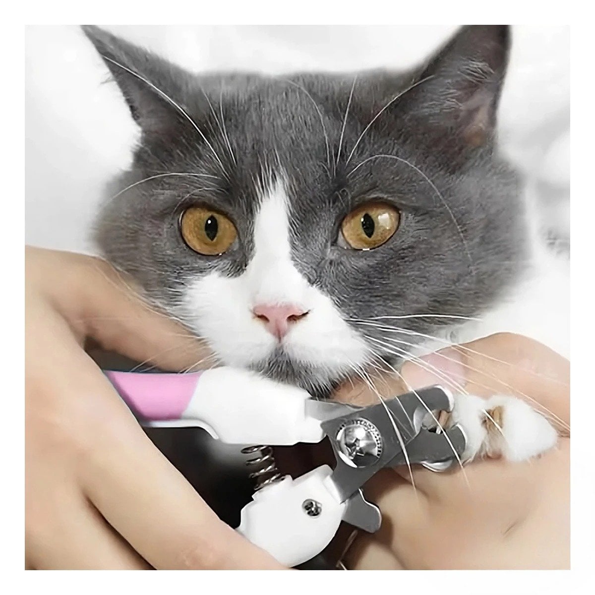 PACK4 ACCESORIO DE ASEO PARA LA ARMONIA DE SUS HIJOS ROSADO CHICO Y+PAPEL REGALO - 5