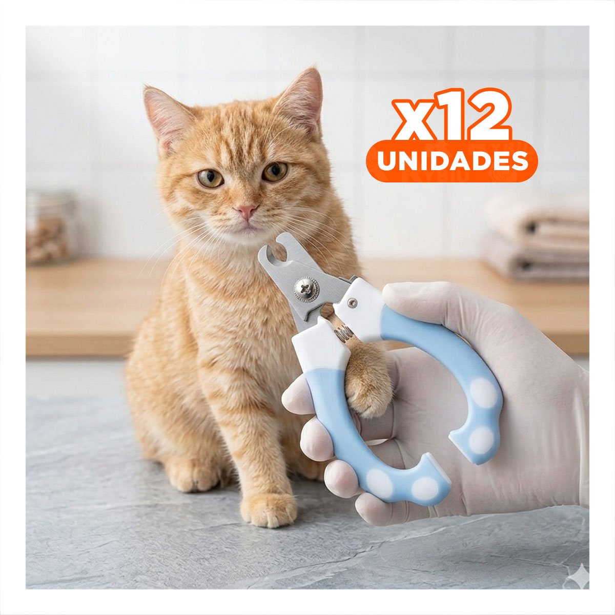 PACK12 HERRAMIENTA DE GROOMING CELESTE GRANDE PARA SU MESADA - 1