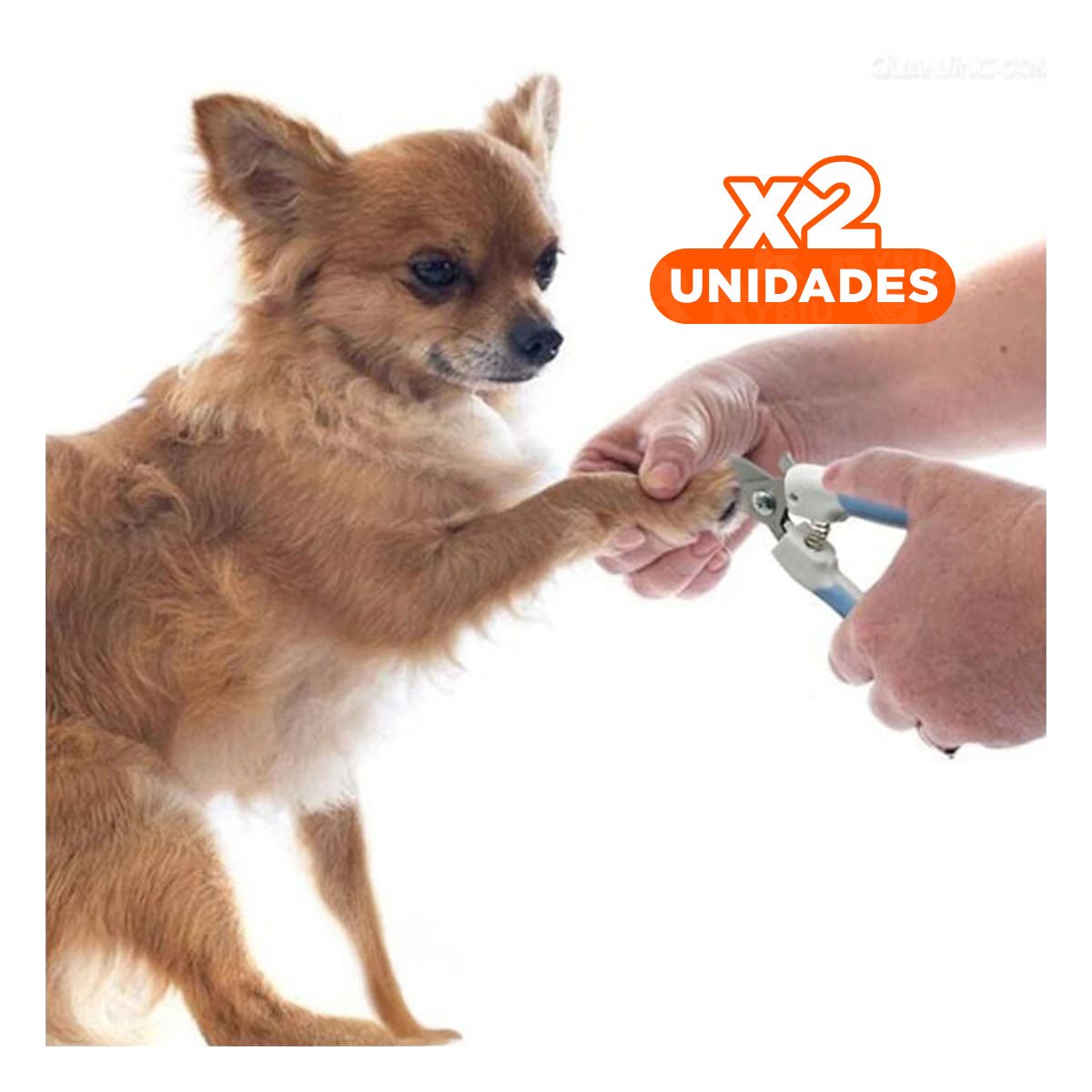 PACK2 SET DE PEDICURA PARA MASCOTAS PARA HISTORIAS LINDAS AZUL CHICO Y+REGALO STICKER - 1