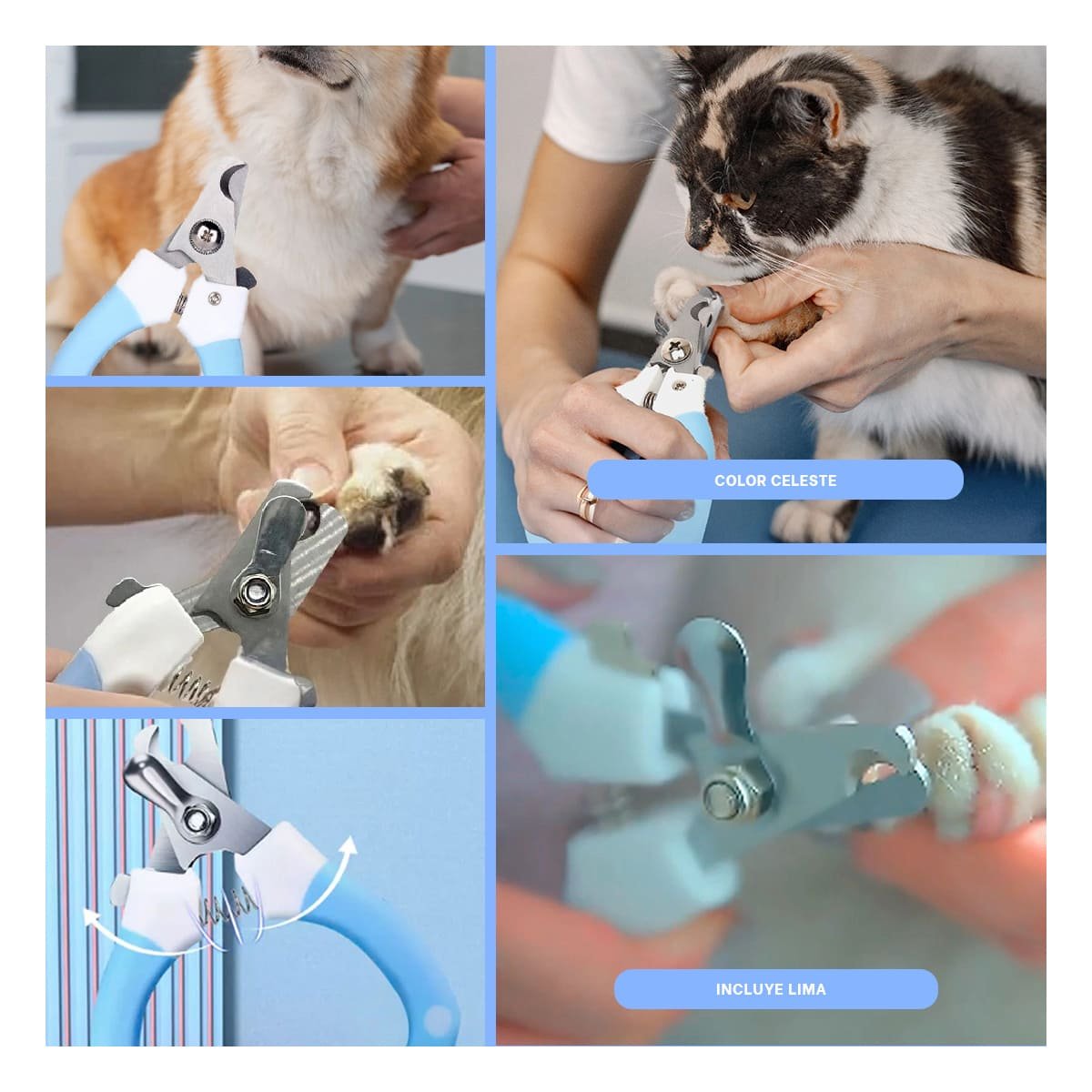 PACK4 HERRAMIENTA DE GROOMING CELESTE CHICO PARA SUS PADRES Y+REGALO STICKER - 2