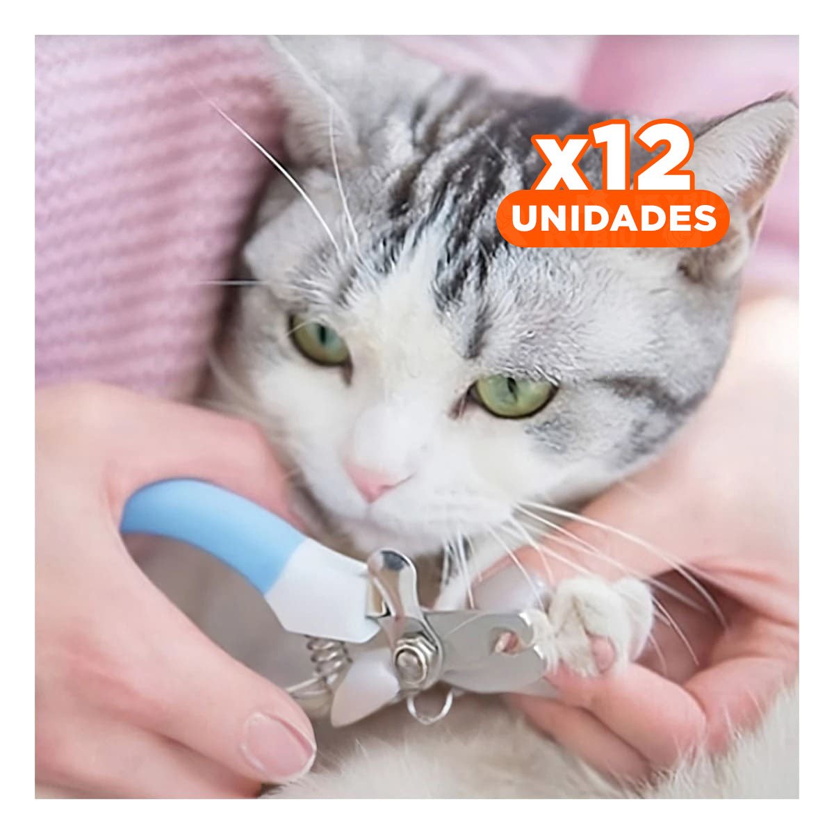 PACK12 CORTA UÑAS PET AZUL CHICO CON POTENCIA PARA MUCHA FUERZA - 1