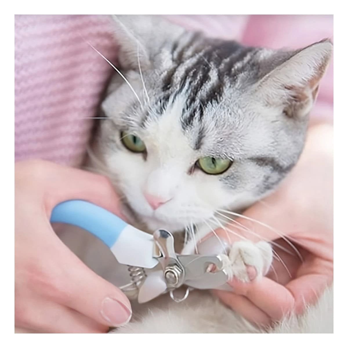 PACK12 CORTA UÑAS PET AZUL CHICO CON POTENCIA PARA MUCHA FUERZA - 2