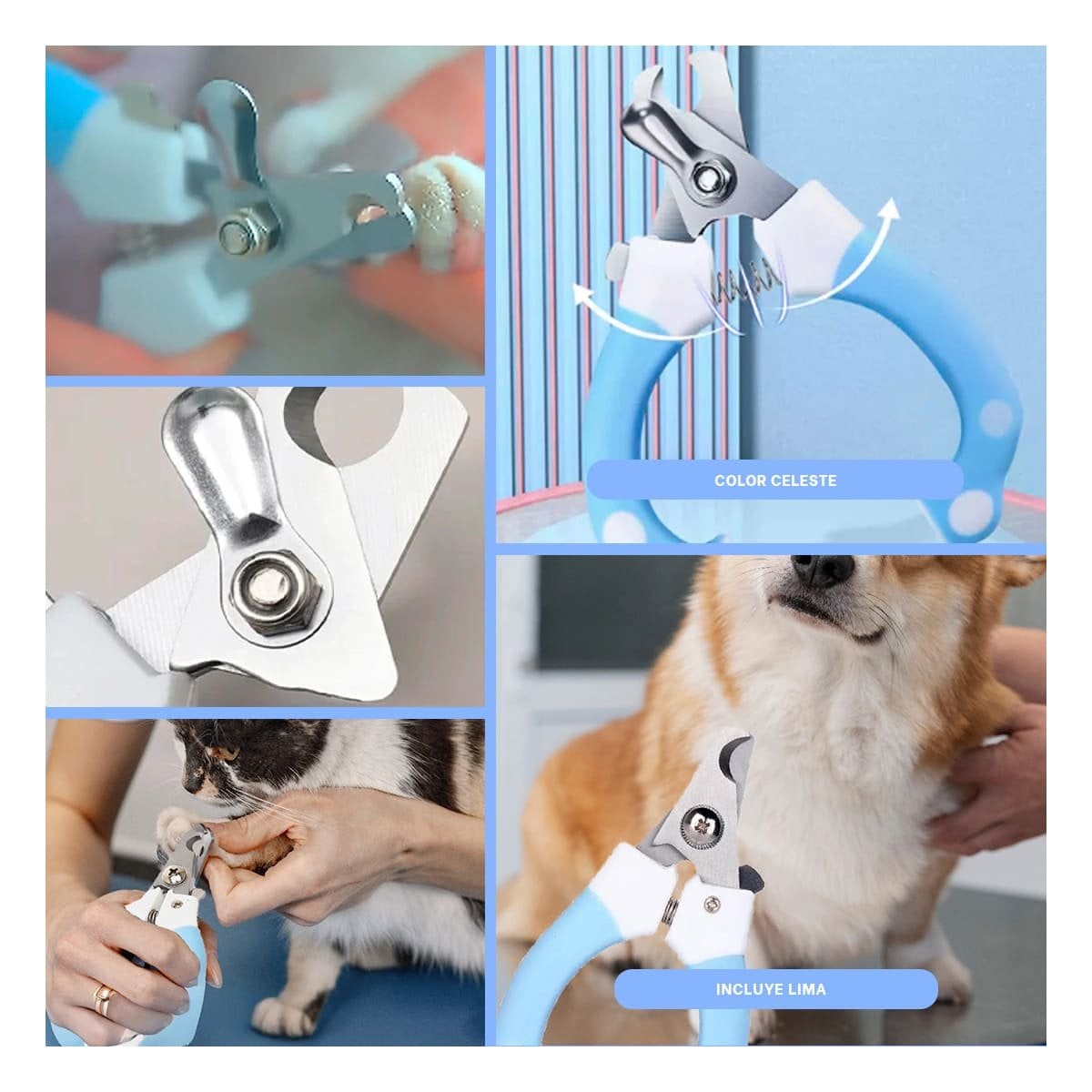 PACK4 HERRAMIENTA DE GROOMING CELESTE GRANDE PARA SUS PADRES Y+REGALO STICKER - 2