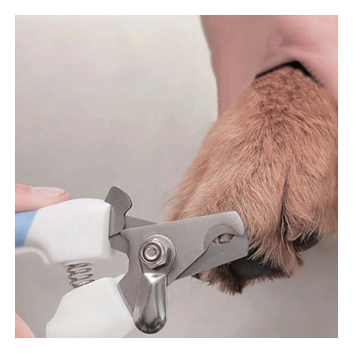 PACK4 HERRAMIENTA DE GROOMING CON ESTRUCTURA DE MUCHA FUERZA AZUL CHICO - 2