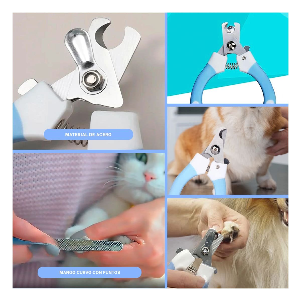 PACK2 CORTAUÑAS PET CON LIMA MANGO CURVO CON PUNTOS CELESTE GRANDE UTIL Y+PAPEL REGALO - 3