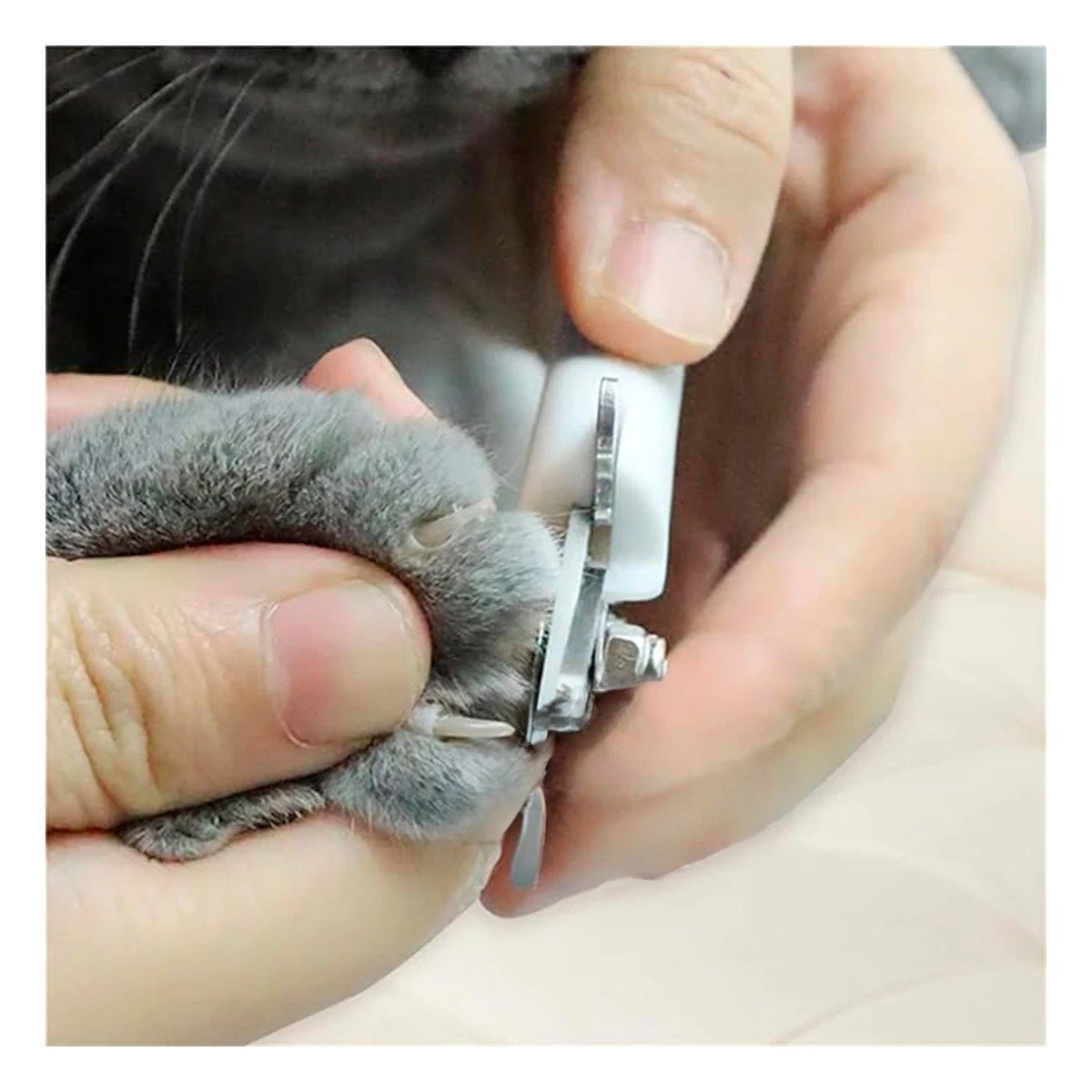 PACK6 HERRAMIENTA DE GROOMING CON TOPE AZUL CHICO PARA MAS SEGURIDAD Y+PAPEL REGALO - 5