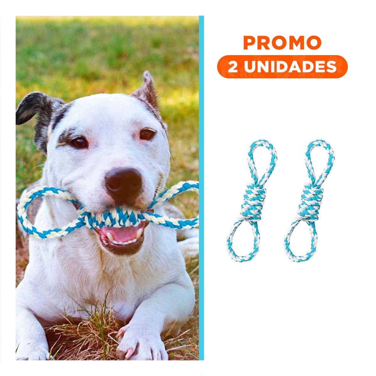 PACK2 ACCESORIO DE MORDIDA CON 4 NUDOS CON TONO TURQUESA DE GRAN BRILLO - 1