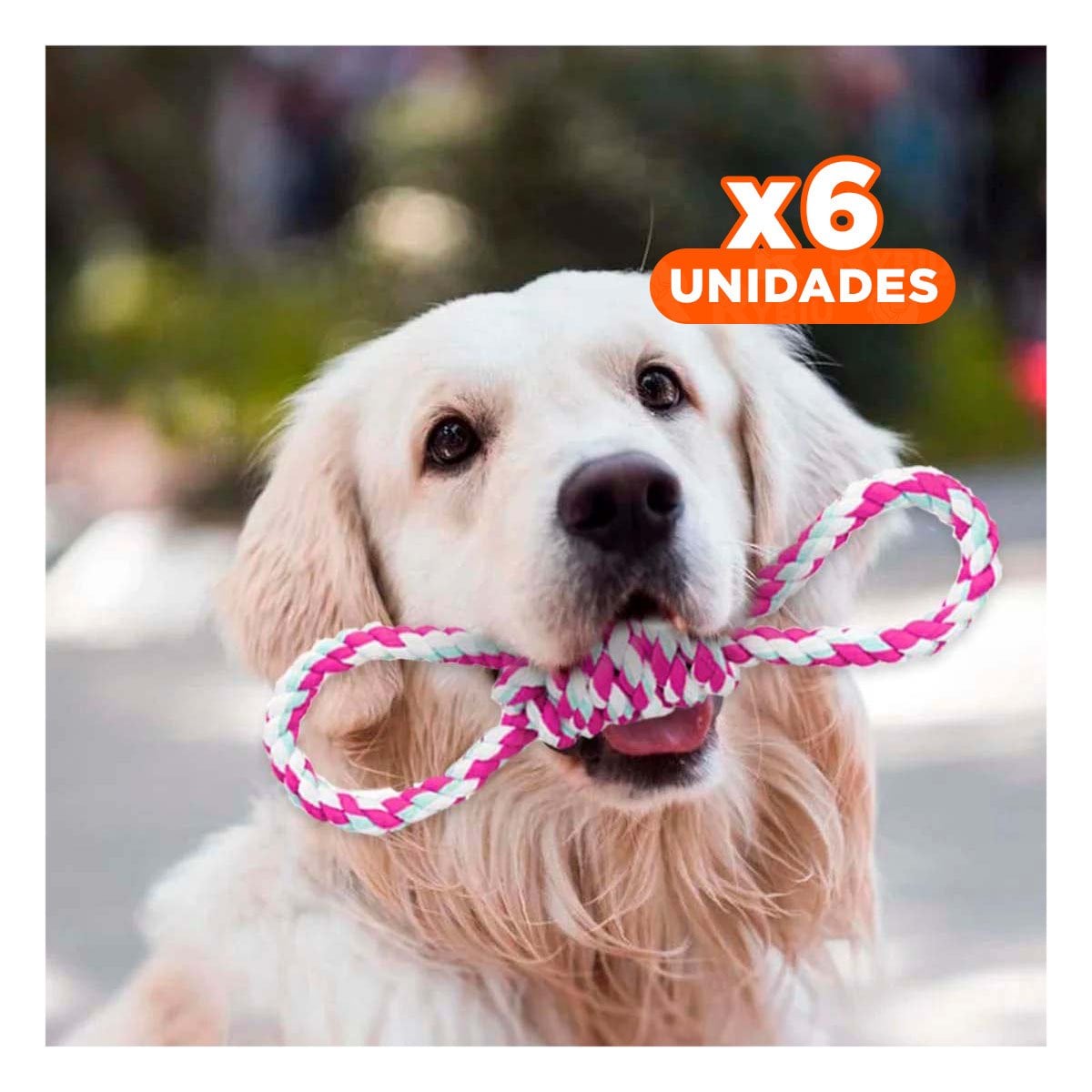 PACK6 JUGUETE DE SOGA DE 4 NUDOS ROSADO PARA DISFRUTAR DE SU TARDE Y+REGALO STICKER - 1