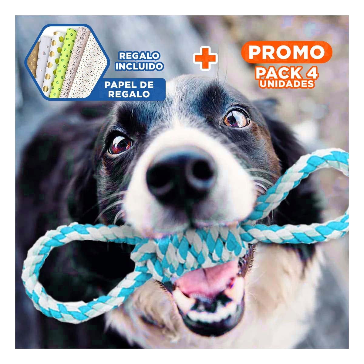 PACK4 CUERDA SOGA 4 NUDOS PET TURQUESA PARA UN ESTILO MUY ACTIVO Y+PAPEL REGALO - 1
