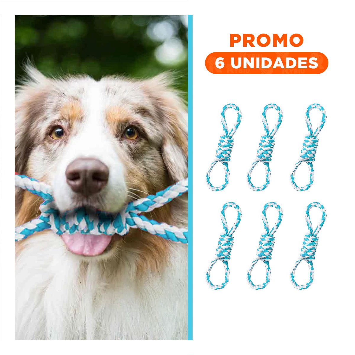 PACK6 ELEMENTO DE JUEGO CON 4 NUDOS TURQUESA DE AGARRE COMODO PARA SUS MANOS - 1