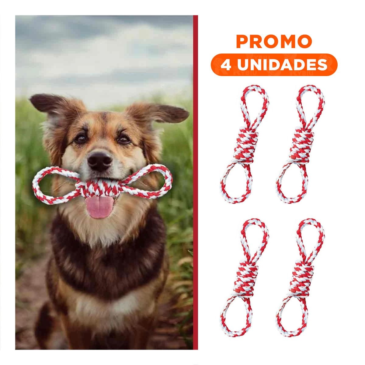 PACK4 ACCESORIO DE MORDIDA CON 4 NUDOS ROJO PARA LA TRANQUILIDAD DE SUS PADRES Y+REGALO STICKER - 1