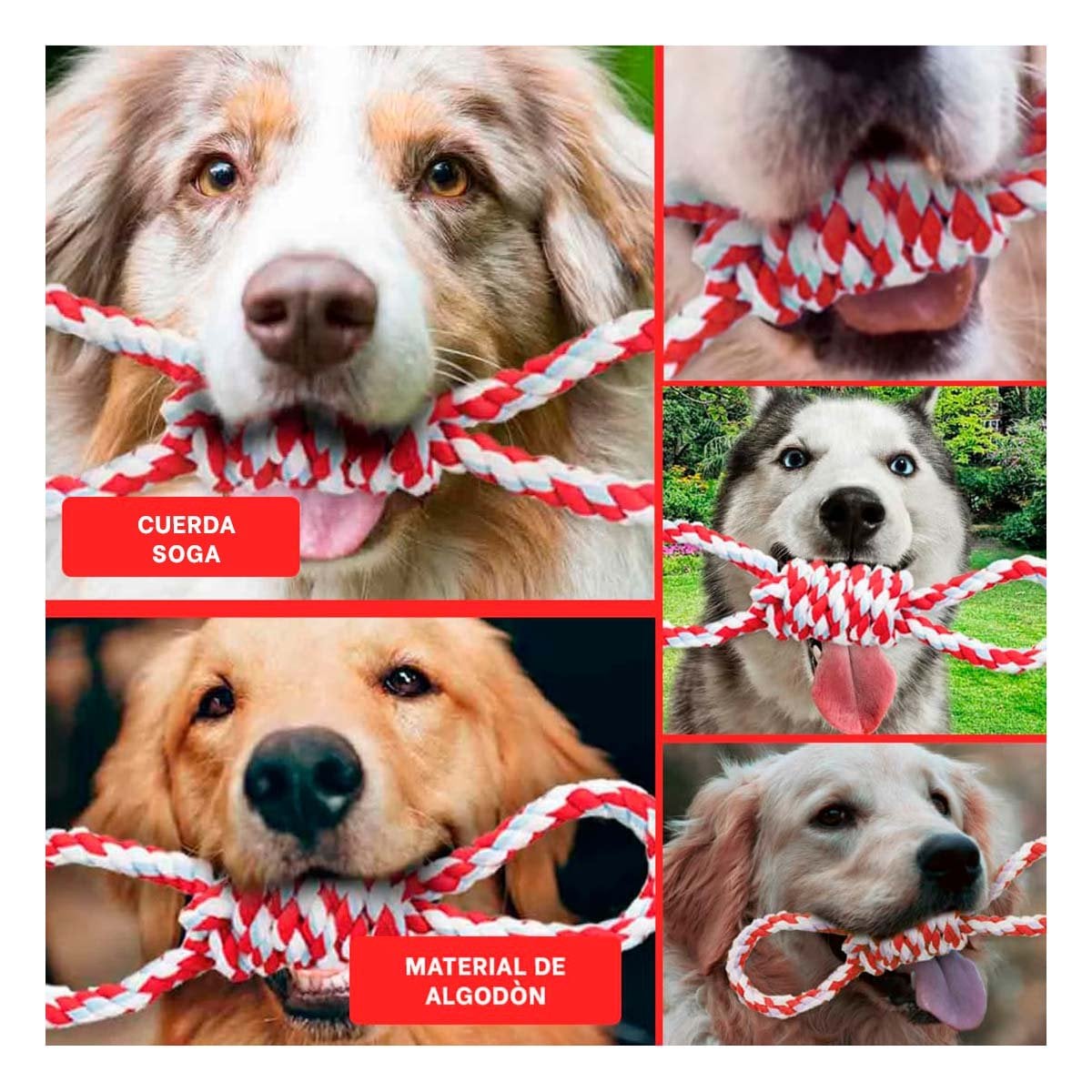 PACK4 ACCESORIO DE MORDIDA CON 4 NUDOS ROJO PARA LA TRANQUILIDAD DE SUS PADRES Y+REGALO STICKER - 2