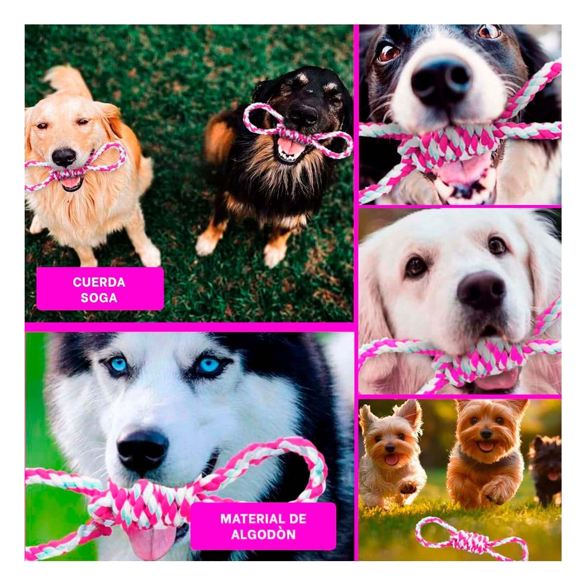 PACK4 ACCESORIO DE MORDIDA CON 4 NUDOS ROSADO PARA LA TRANQUILIDAD Y+REGALO STICKER - 2
