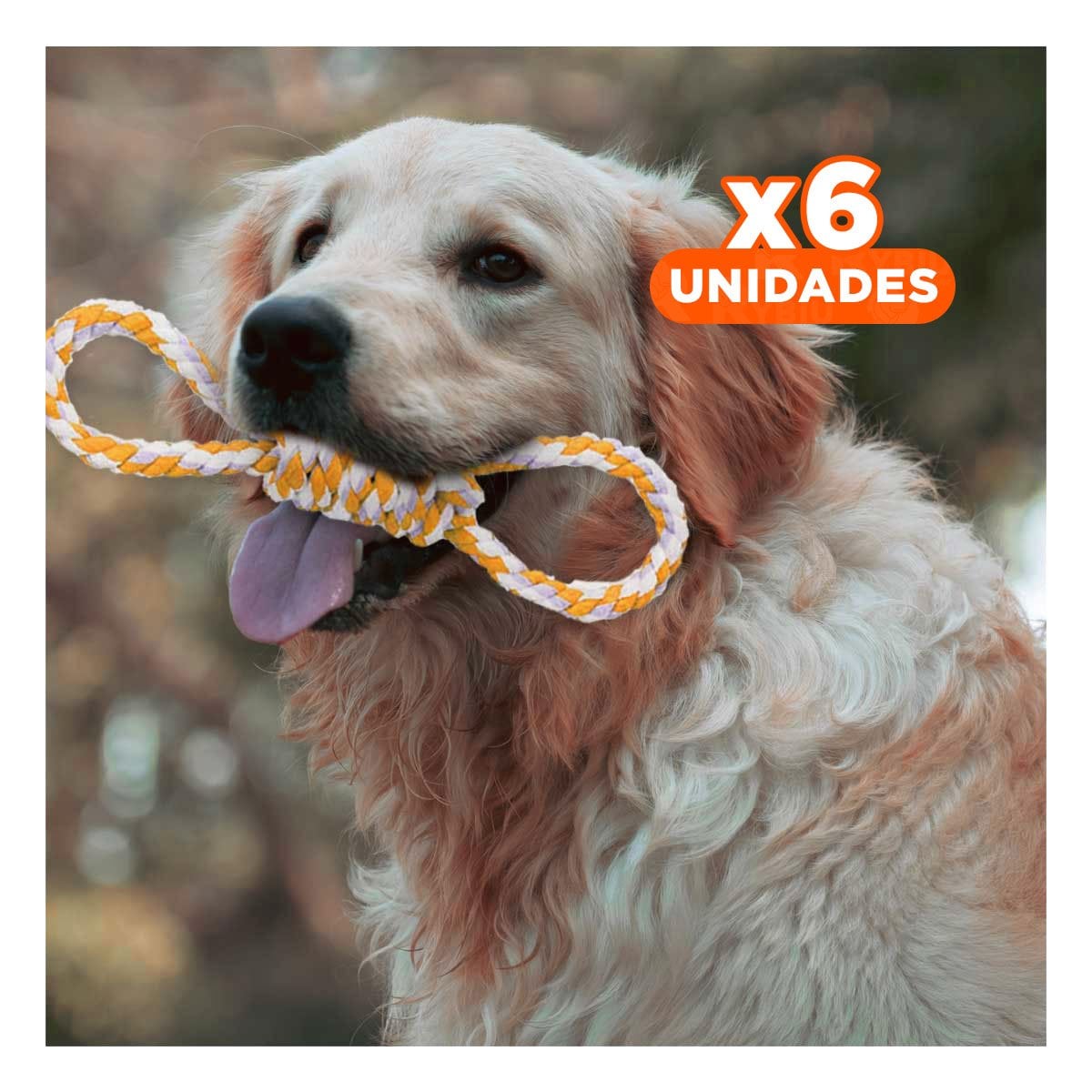 PACK6 JUGUETE DE SOGA DE 4 NUDOS ANARANJADO PARA DISFRUTAR DE SU TARDE Y+REGALO STICKER - 1