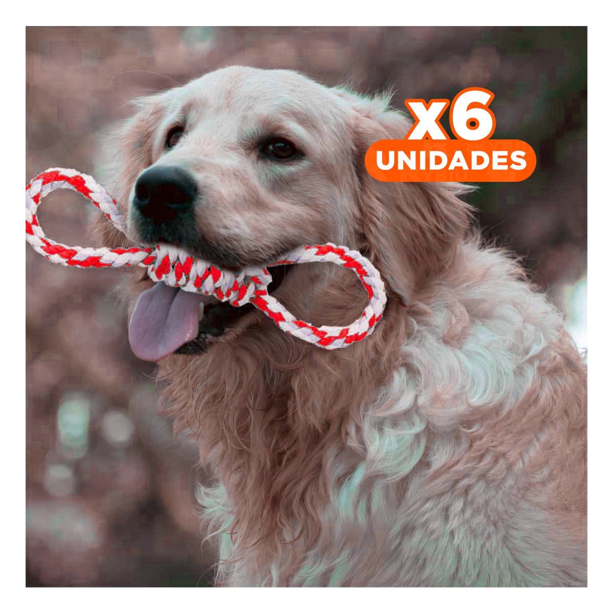 PACK6 JUGUETE DE SOGA DE 4 NUDOS ROJO PARA DISFRUTAR DE SU TARDE Y+REGALO STICKER - 1