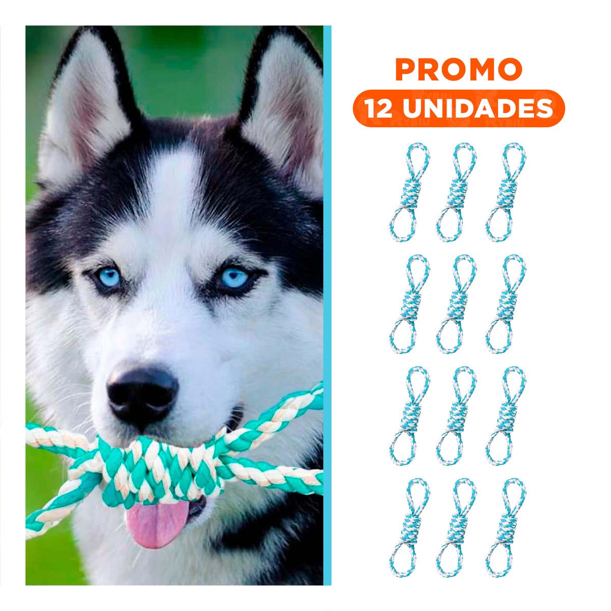 PACK12 ELEMENTO DE JUEGO CON 4 NUDOS TURQUESA PARA COLOCAR EN SU ESTANTE Y+REGALO STICKER - 1