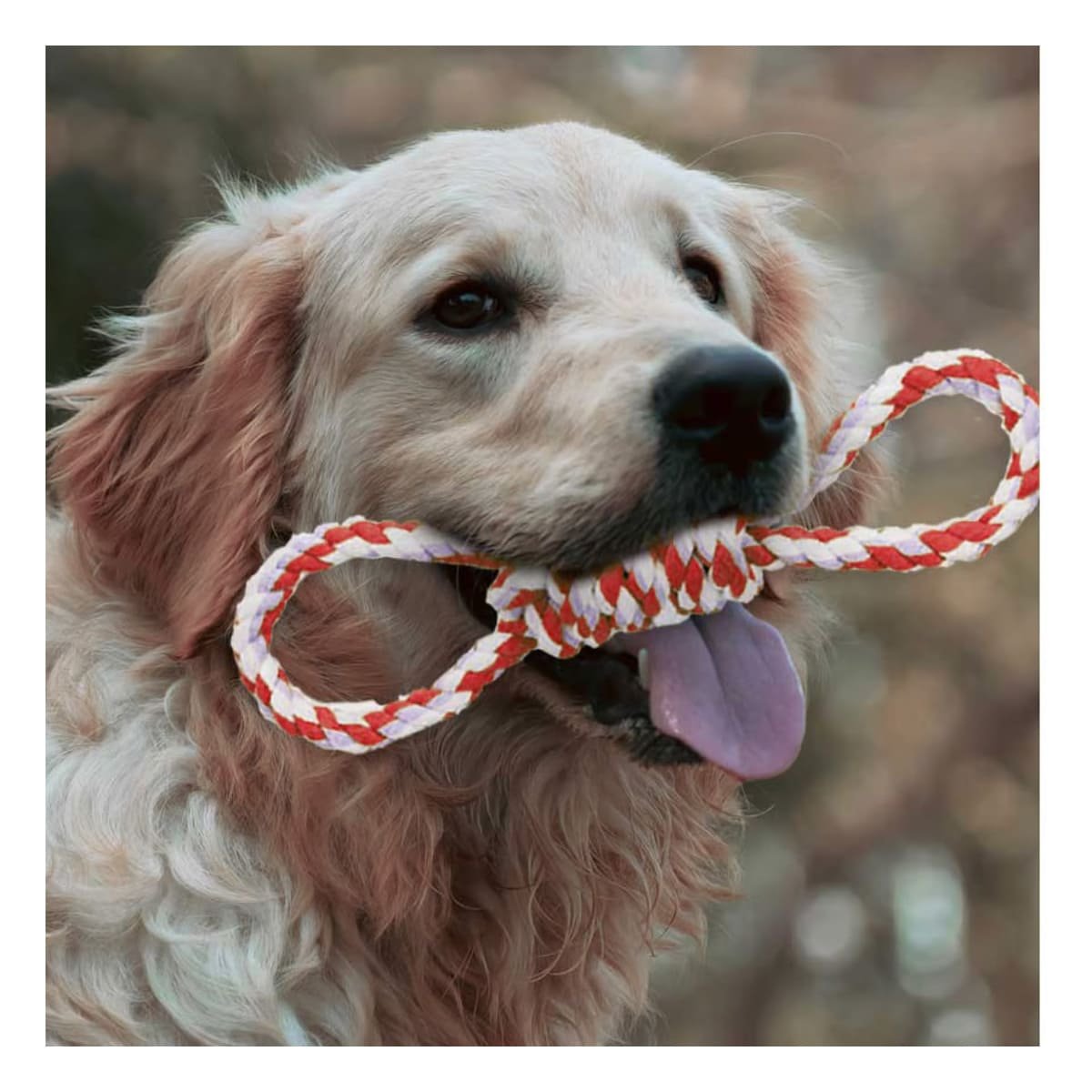 PACK4 CUERDA SOGA 4 NUDOS PET ROJO PARA UN ESTILO MUY ACTIVO Y+PAPEL REGALO - 2