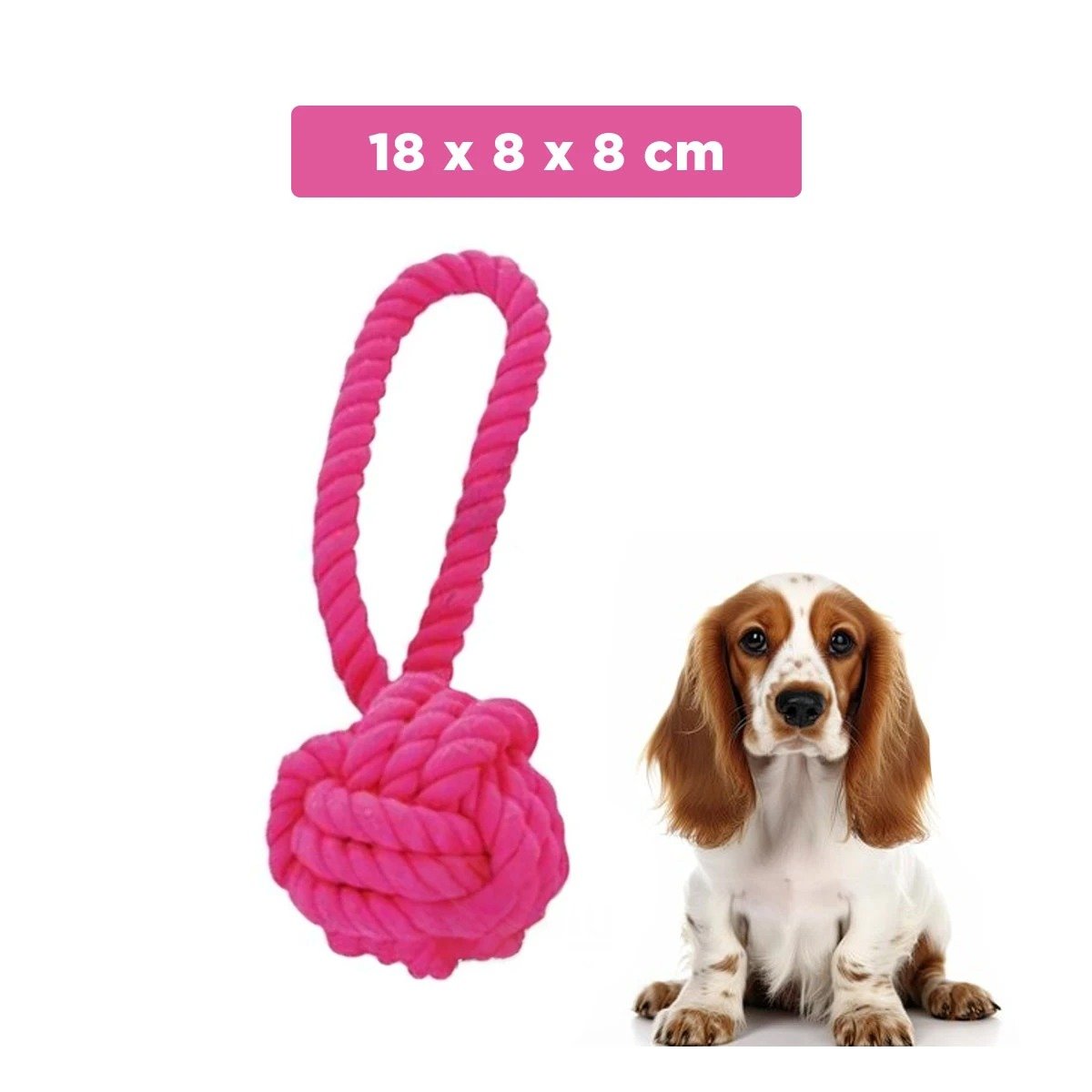 PACK4 TRENZA FUCSIA CON NUDO GRANDE PARA PERROS ACTIVOS EN CASA Y+REGALO STICKER - 4