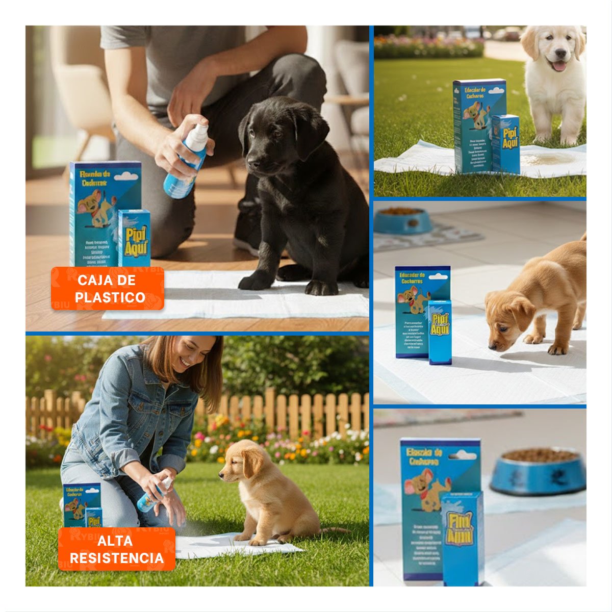HERRAMIENTA AJUSTABLE QUE PERMITE CONTROL Y ENTRENAMIENTO EFECTIVO CELESTE Y+POST IT - 5