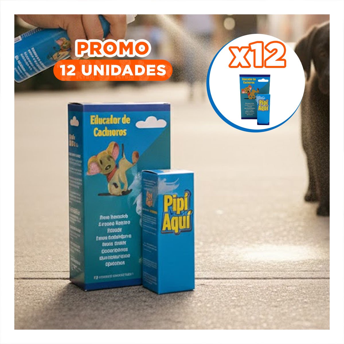 PACK12 PULVERIZADOR PARA ENSEÑAR HIGIENE Y ORDEN A CACHORROS CELESTE - 1