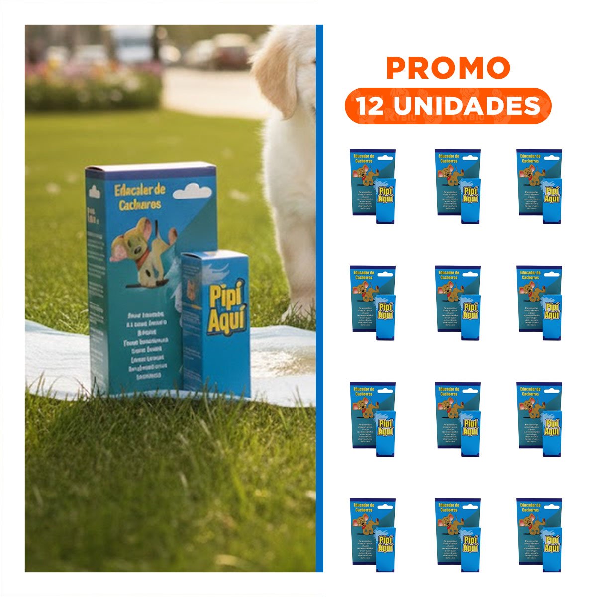 PACK12 PULVERIZADOR SEGURO Y FACIL DE USAR PARA CACHORROS CELESTE Y+REGALO STICKER - 1