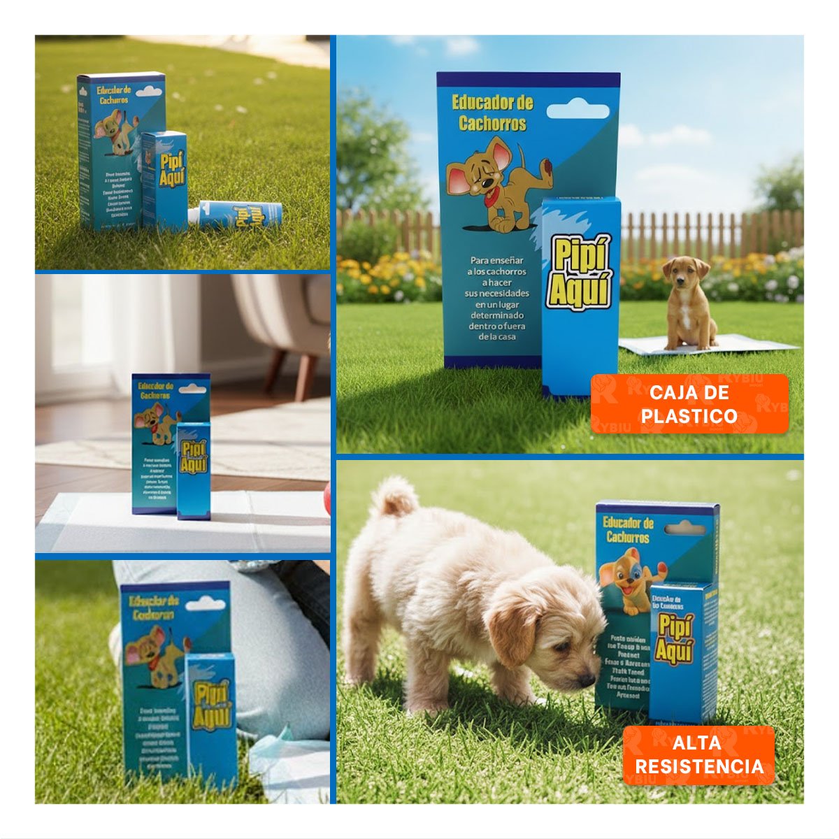 PACK2 SOLUCION COMODA Y PRACTICA PARA ENTRENAMIENTO DIARIO DE MASCOTAS CELESTE Y+PAPEL REGALO - 3