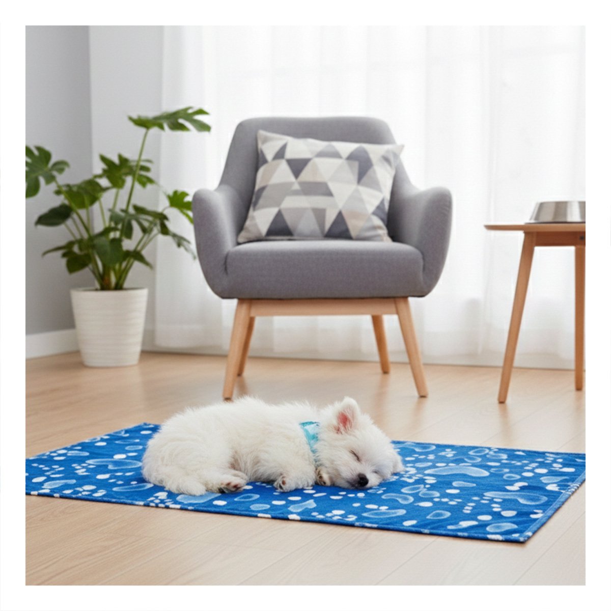 PACK6 ESTERA AMPLIA PARA GATO EN CASA 50X90CM L AZUL ESTILO BURBUJAS Y+PAPEL REGALO - 5