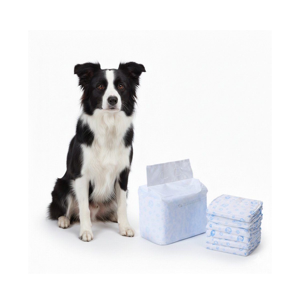 PACK6 CINTURON ABSORBENTE PARA CONTROL DE MICCION EN PERRO MACHO TALLA L VERDE Y+REGALO STICKER - 2