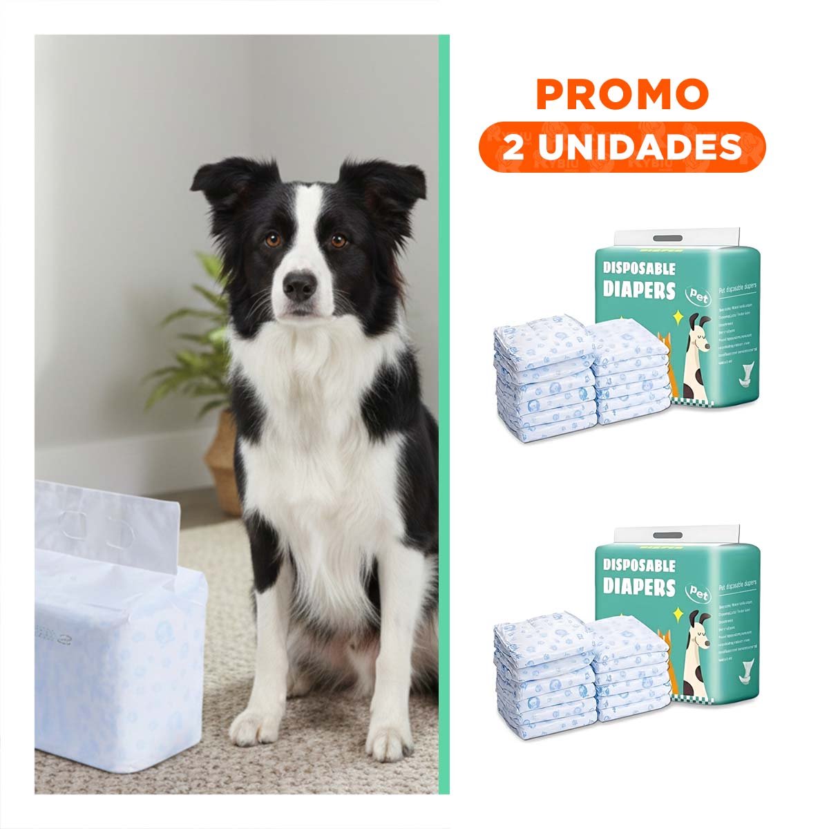 PACK2 BANDA HIGIENICA CON AJUSTE ELASTICO Y SEGURO PERRO MACHO TALLA L VERDE - 1