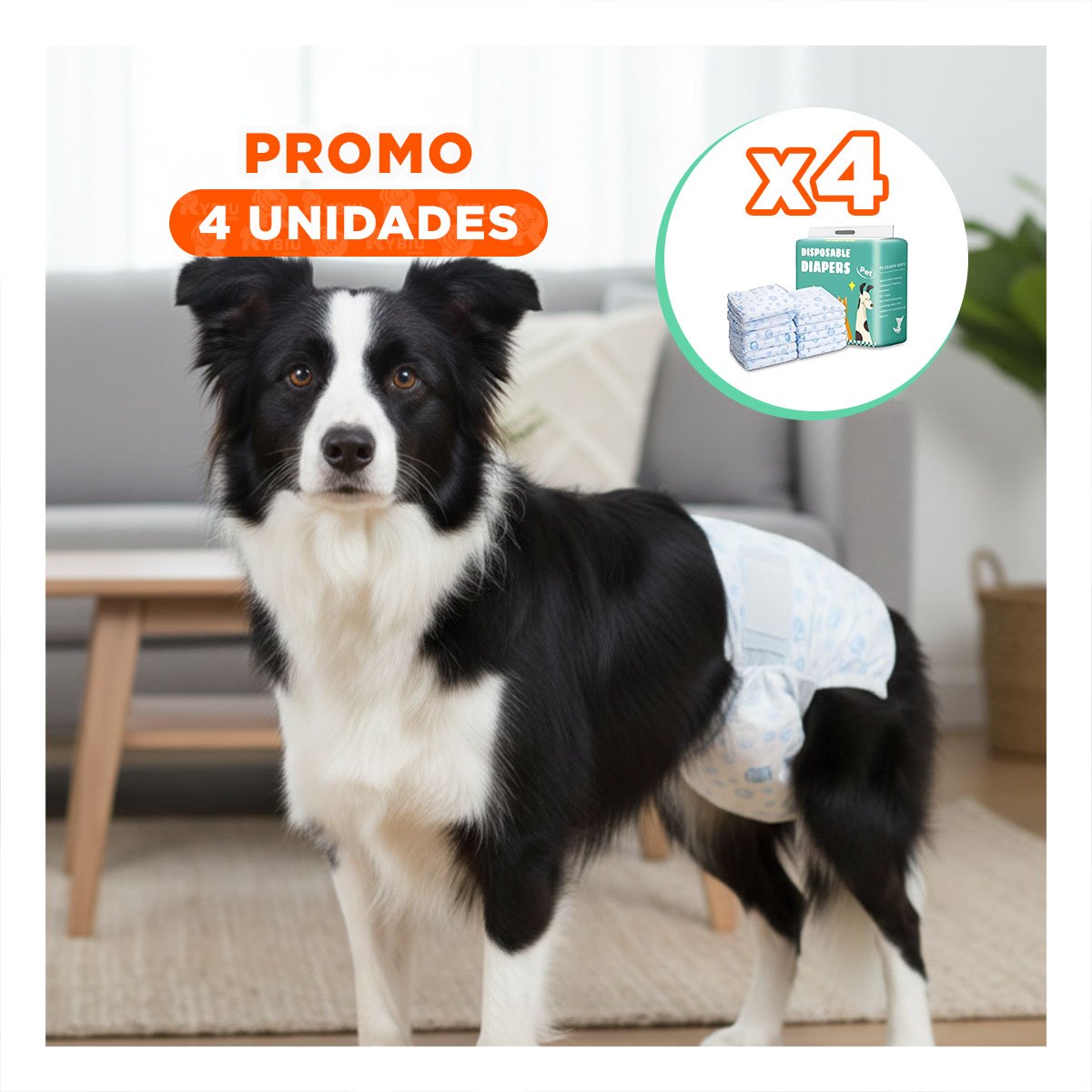 PACK4 BANDA PRACTICA CON INTERIOR DE ALTA RETENCION PERRO MACHO TALLA L VERDE - 1